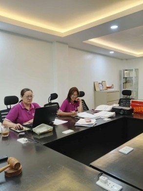 Consultancy and Audit (addtnl