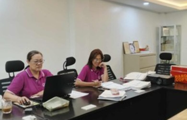 Consultancy and Audit